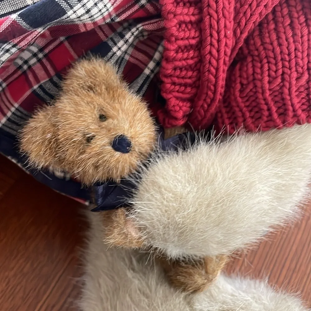 BOYD’s Bear